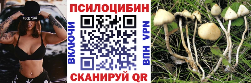 магазин Чита Псилоцибиновые грибы ЛСД